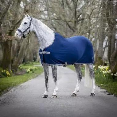 LeMieux Arika Jersey-Tek Rug 13 LeMieux Arika Jersey-Tek Rug - Image 11