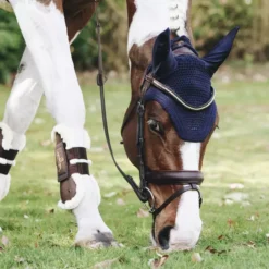 Kentucky Horsewear Kentucky Wellington Fly Veil -Exquisite Equestrian Equipment Store b e8502ded370e565d04389cf2c54c4715 article photobook crop 7 3 png