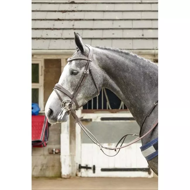 John Whitaker Chicago Perforated Leather Bridle With Bling Browband 6 John Whitaker Chicago Perforated Leather Bridle With Bling Browband - Image 4