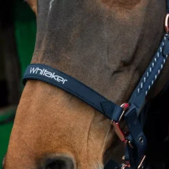 John Whitaker Bradshaw Headcollar Iwth Rose Gold Fittings 27 John Whitaker Bradshaw Headcollar Iwth Rose Gold Fittings -Exquisite Equestrian Equipment Store bradshaw headcollar 2 1000x1000 3 jpg