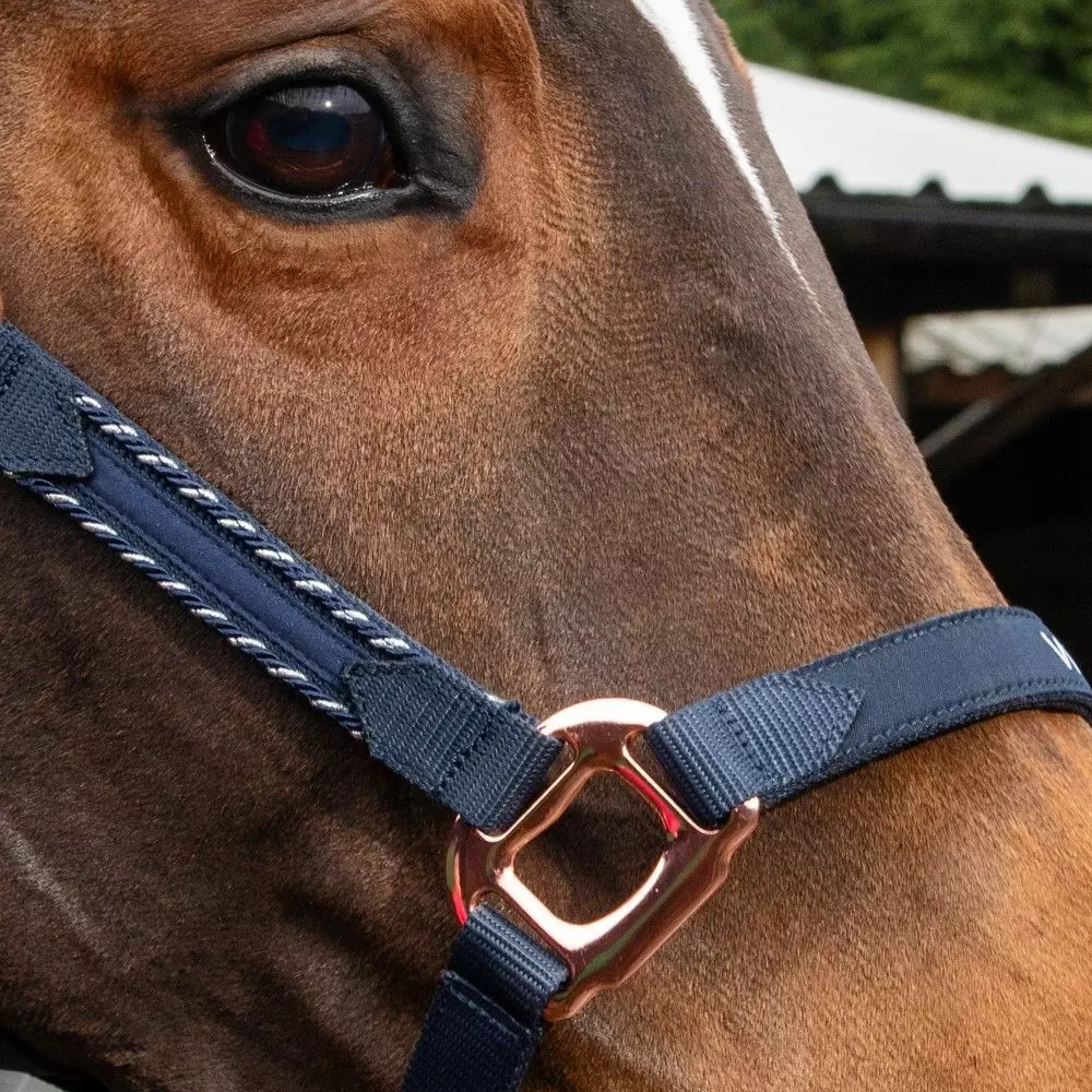 John Whitaker Bradshaw Headcollar Iwth Rose Gold Fittings 18 John Whitaker Bradshaw Headcollar Iwth Rose Gold Fittings - Image 16