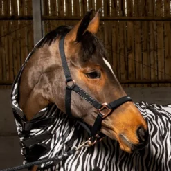 John Whitaker Bradshaw Headcollar Iwth Rose Gold Fittings 29 John Whitaker Bradshaw Headcollar Iwth Rose Gold Fittings -Exquisite Equestrian Equipment Store bradshaw black 1000x1000 1 jpg