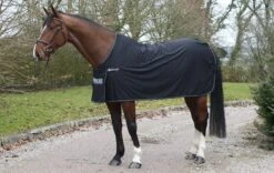 Bucas Panel Prize Cooler -Exquisite Equestrian Equipment Store bucas panel prize cooler black silver 6