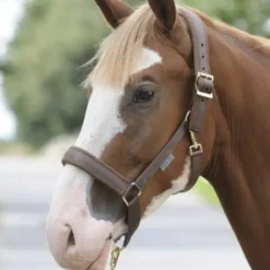 Bucas Dublin Comfort Headcollar -Exquisite Equestrian Equipment Store bucas dublin headcollar brown 1 jpg