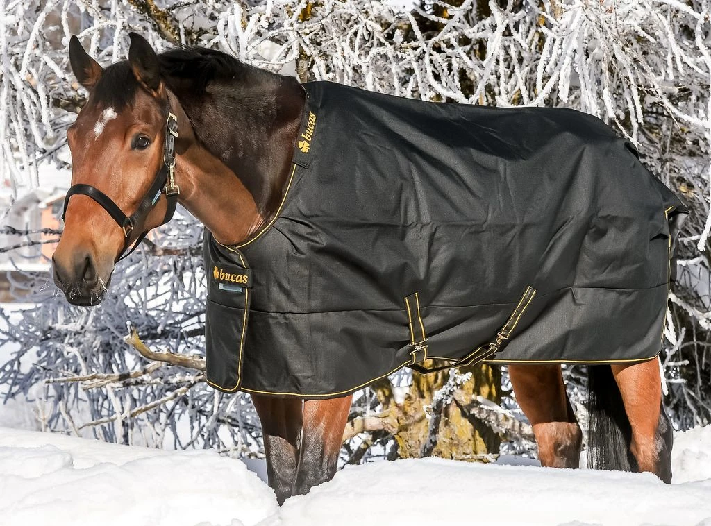 Bucas Irish Turnout Extra Classic Rug Range 19 Bucas Irish Turnout Extra Classic Rug Range - Image 17