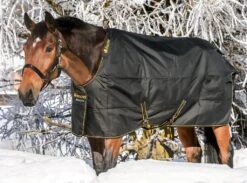 Bucas Irish Turnout Extra Classic Rug Range 27 Bucas Irish Turnout Extra Classic Rug Range -Exquisite Equestrian Equipment Store bucas irish turnout black 24