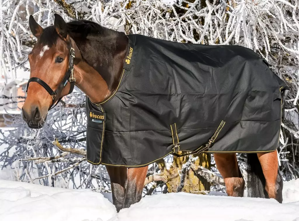 Bucas Irish Turnout Extra Classic Rug Range 16 Bucas Irish Turnout Extra Classic Rug Range - Image 14