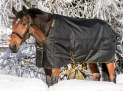 Bucas Irish Turnout Extra Classic Rug Range 32 Bucas Irish Turnout Extra Classic Rug Range -Exquisite Equestrian Equipment Store bucas irish turnout black 8 jpg