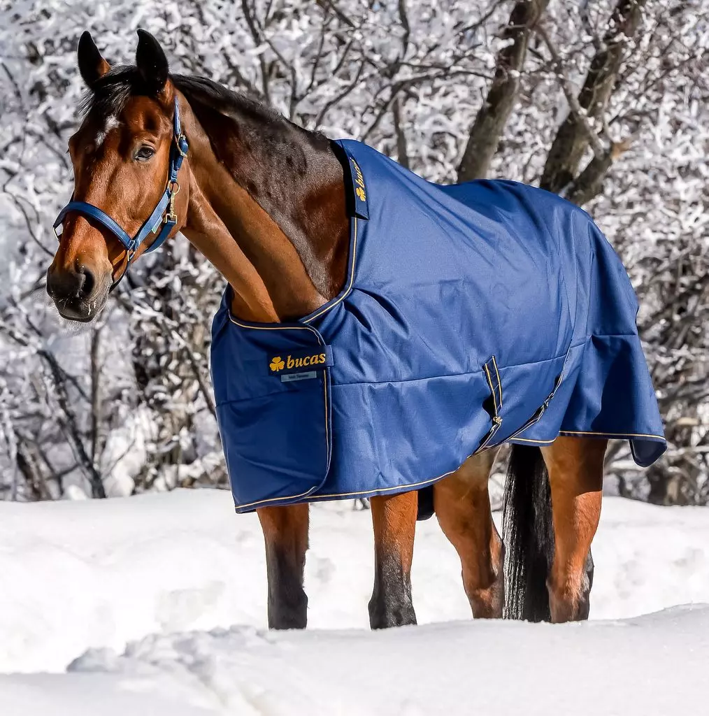 Bucas Irish Turnout Extra Classic Rug Range 10 Bucas Irish Turnout Extra Classic Rug Range - Image 8