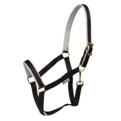 Bucas Dublin Padded Luxury Headcollar 37 Bucas Dublin Padded Luxury Headcollar -Exquisite Equestrian Equipment Store bucas padded headcollar black silver 3 jpg