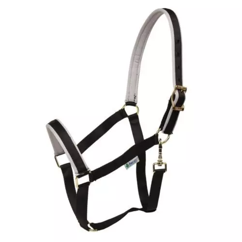 Bucas Dublin Padded Luxury Headcollar 18 Bucas Dublin Padded Luxury Headcollar - Image 16