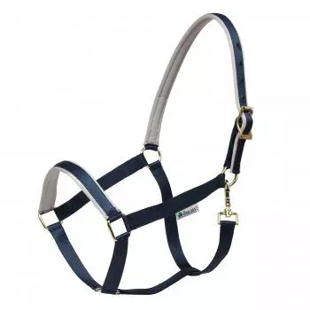 Bucas Dublin Padded Luxury Headcollar 22 Bucas Dublin Padded Luxury Headcollar - Image 20