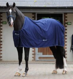 Bucas Power Cooler Rug - Detachable Surcingles -Exquisite Equestrian Equipment Store bucas power cooler navy 2