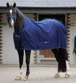 Bucas Power Cooler Rug - Detachable Surcingles -Exquisite Equestrian Equipment Store bucas power cooler navy 4 jpg