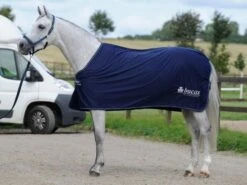 Bucas Power Prize Cooler -Exquisite Equestrian Equipment Store bucas power prize cooler silver bucas logo 4