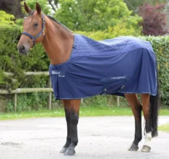 Bucas Therapy Rug -Exquisite Equestrian Equipment Store bucas recuptex 6 jpg