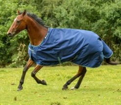Bucas Smartex Medium Turnout Rug -Exquisite Equestrian Equipment Store bucas smartex blue 18