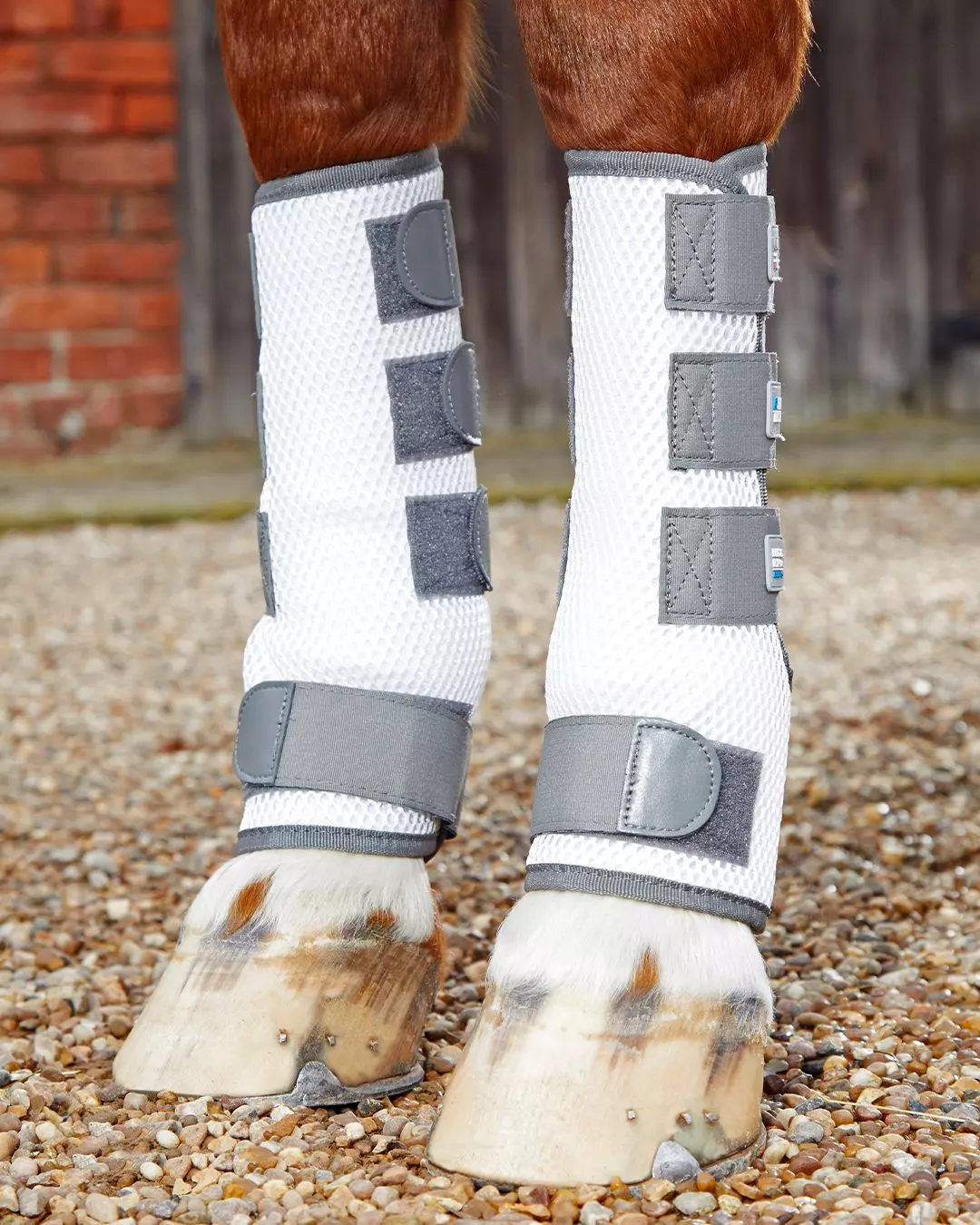 Premier Equine Pro-Tech Bug & Fly Boots 17 Premier Equine Pro-Tech Bug & Fly Boots - Image 15