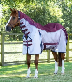Premier Equine Buster Stay-Dry Super Lite Fly Rug With Surcingles -Exquisite Equestrian Equipment Store buster stay dry super lite fly rug with surcingles wine 1 8 jpg