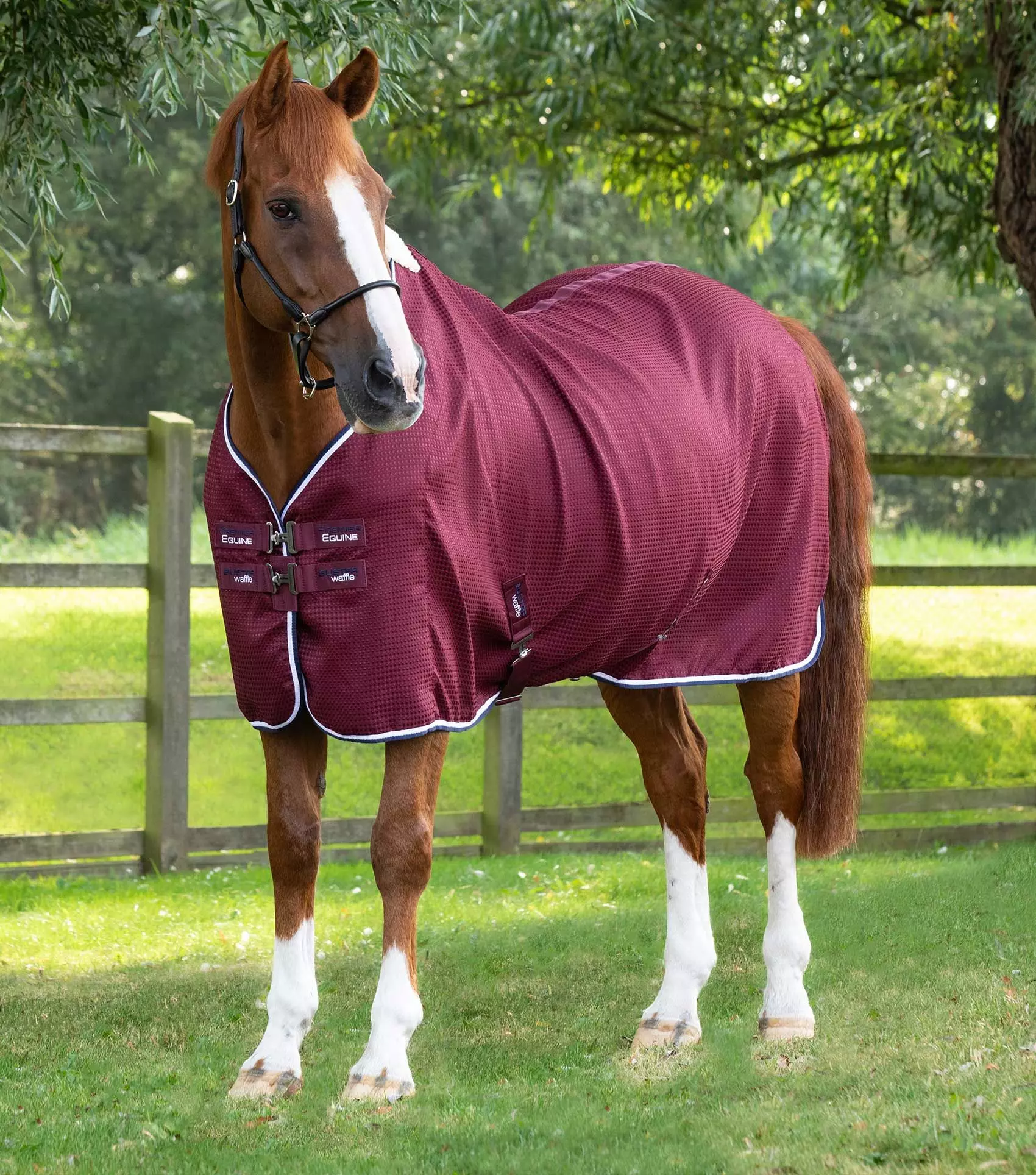Premier Equine Buster Waffle Horse Cooler Rug 12 Premier Equine Buster Waffle Horse Cooler Rug - Image 10
