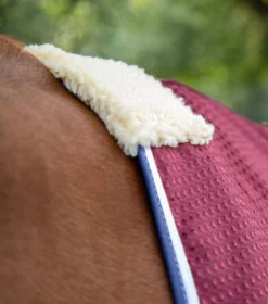 Premier Equine Buster Waffle Horse Cooler Rug 32 Premier Equine Buster Waffle Horse Cooler Rug -Exquisite Equestrian Equipment Store buster waffle cooler burgundy 3 2 jpg