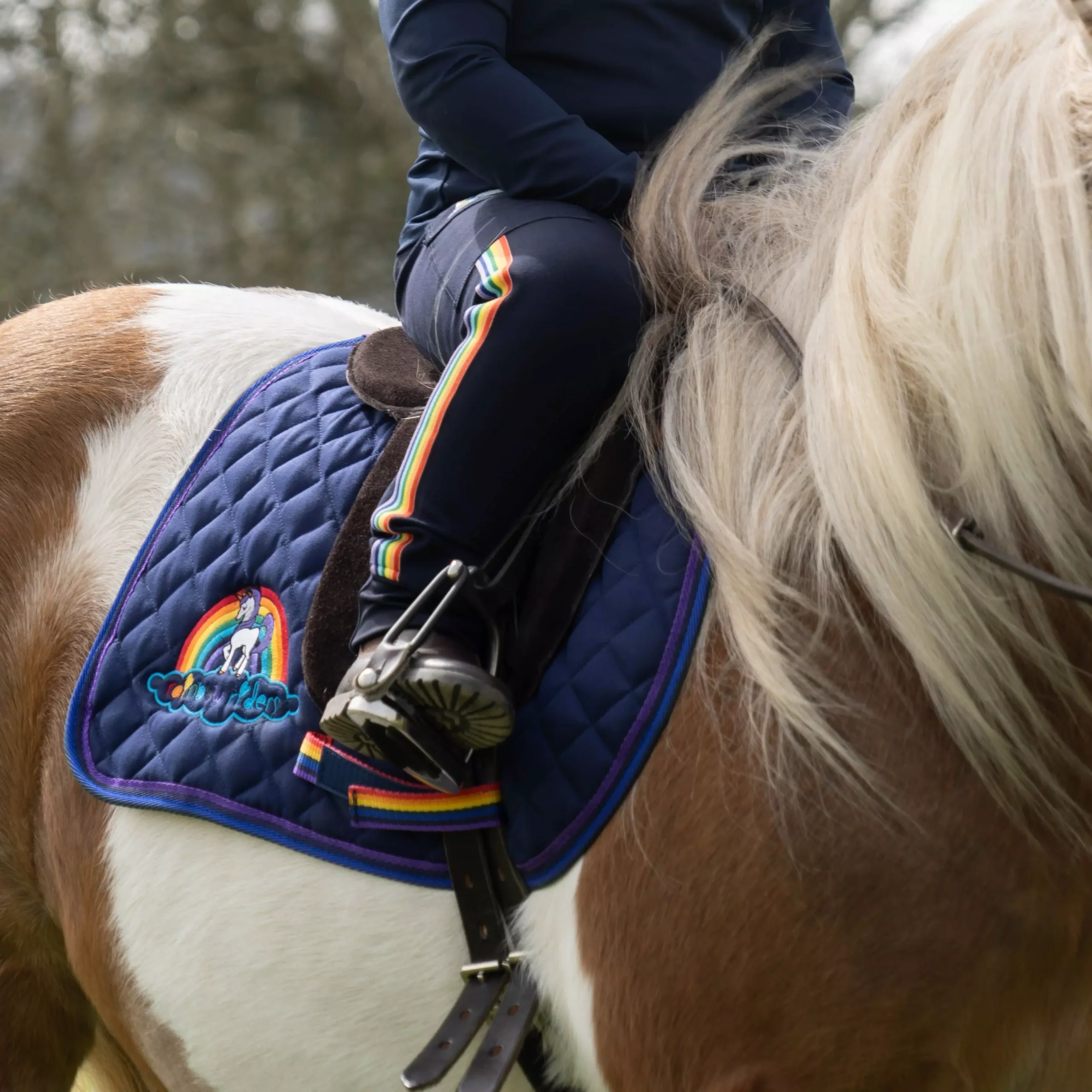Cameo Equine Rainbow Rider Saddle Cloth 7 Cameo Equine Rainbow Rider Saddle Cloth - Image 5