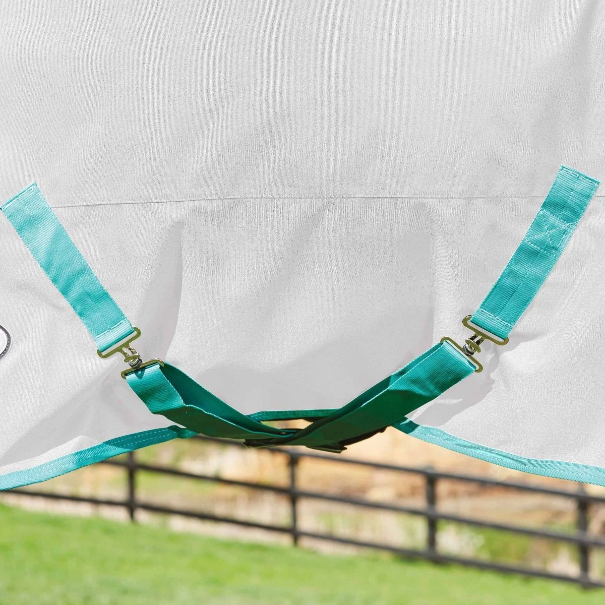 WeatherBeeta Green-Tec 900D Combo Neck Lite Plus Turnout Rug 18 WeatherBeeta Green-Tec 900D Combo Neck Lite Plus Turnout Rug - Image 16