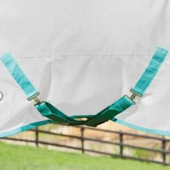 WeatherBeeta Green-Tec 900D Combo Neck Lite Plus Turnout Rug 28 WeatherBeeta Green-Tec 900D Combo Neck Lite Plus Turnout Rug -Exquisite Equestrian Equipment Store c5db00c9a3ae34bdfa6ae92ebc897a88 15