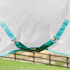 WeatherBeeta Green-Tec 900D Combo Neck Lite Plus Turnout Rug 38 WeatherBeeta Green-Tec 900D Combo Neck Lite Plus Turnout Rug -Exquisite Equestrian Equipment Store c5db00c9a3ae34bdfa6ae92ebc897a88 8 jpg