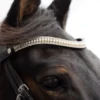 EcoRider Freedom Grace Browband