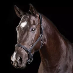 Collegiate ComFiTec Leather Headcollar 14 Collegiate ComFiTec Leather Headcollar -Exquisite Equestrian Equipment Store collegiate comfitec leather headcollar black 1 3 jpg