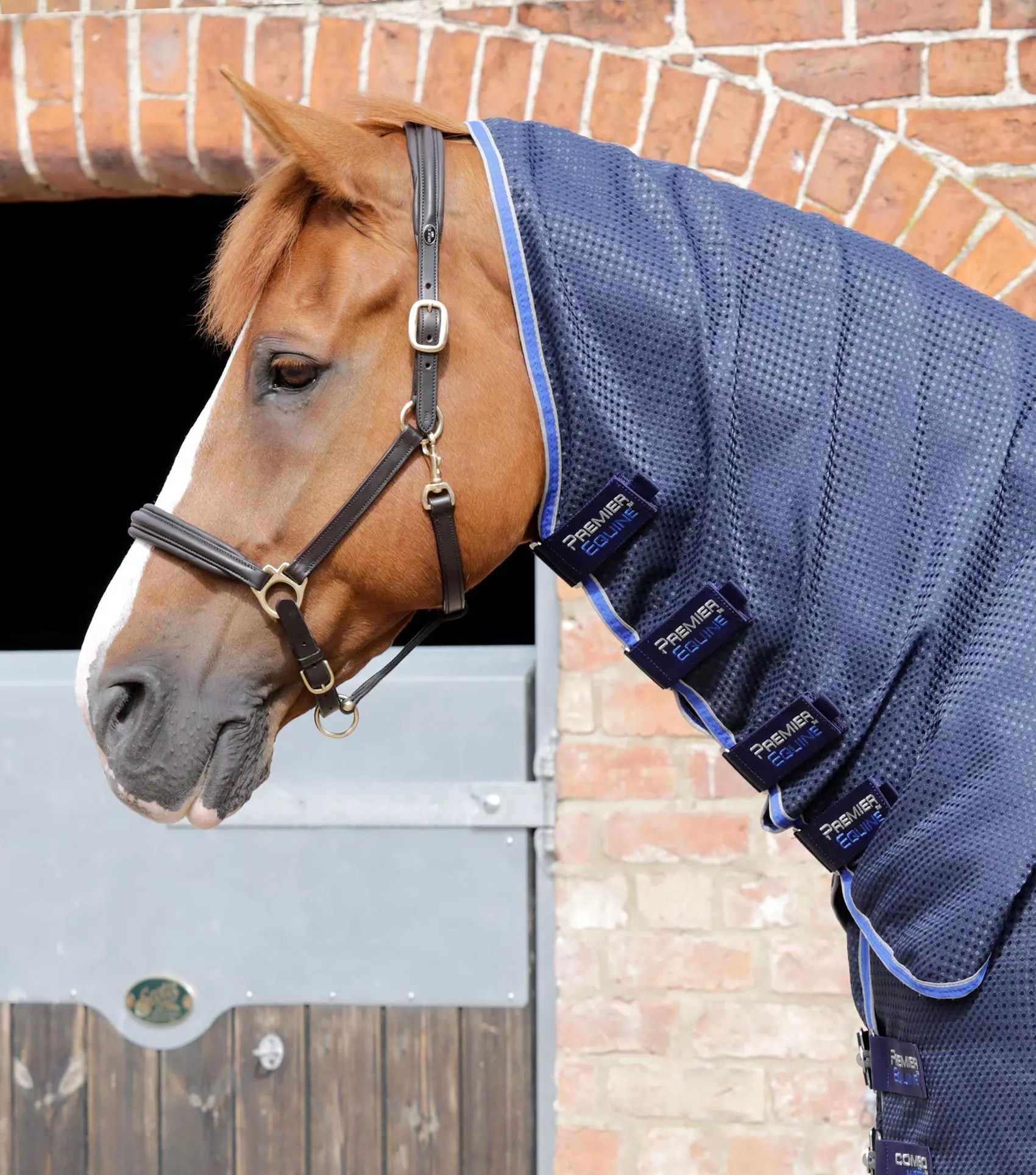Premier Equine Combo Buster Waffle Horse Cooler Rug 5 Premier Equine Combo Buster Waffle Horse Cooler Rug - Image 3