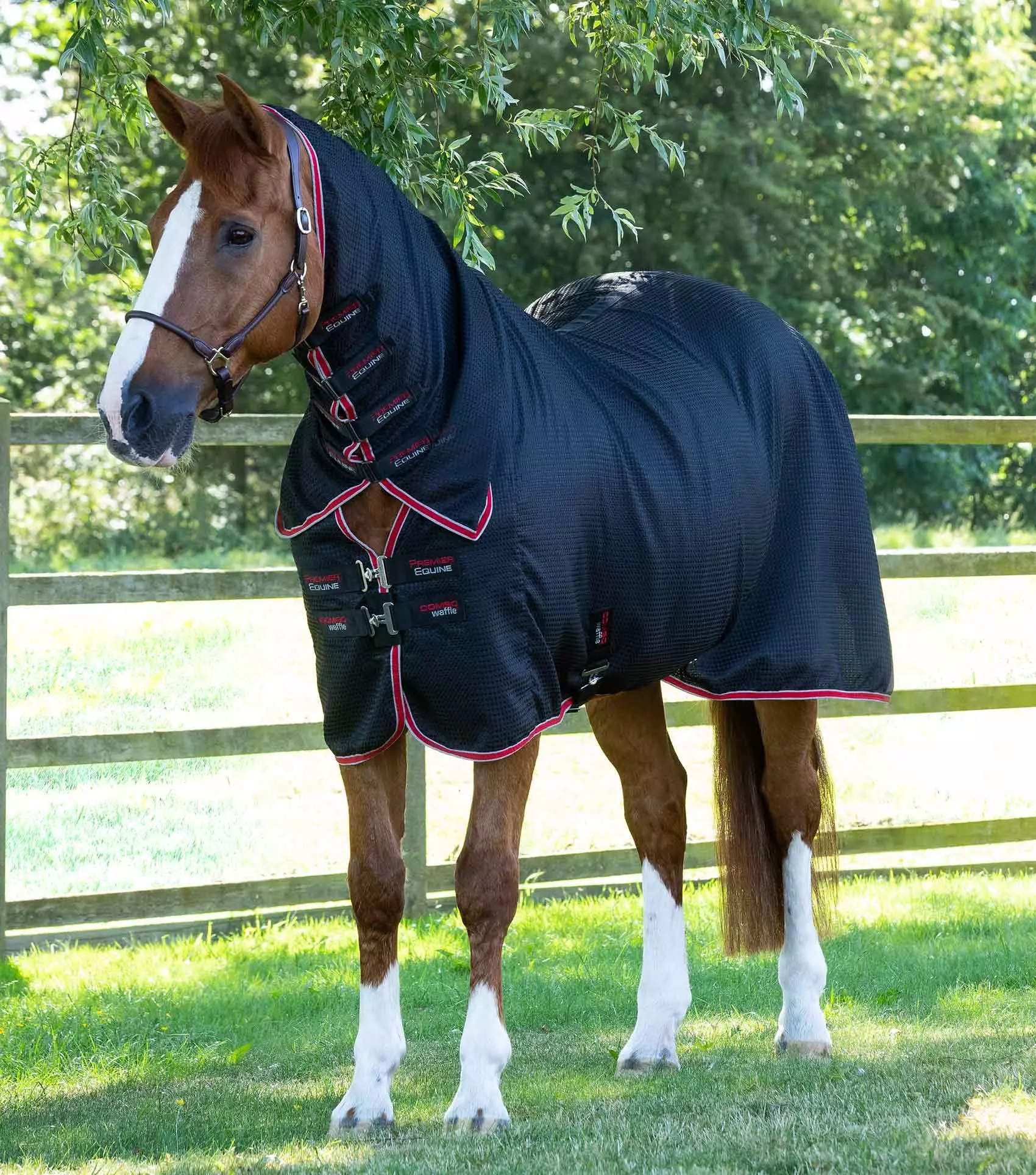 Premier Equine Combo Buster Waffle Horse Cooler Rug 12 Premier Equine Combo Buster Waffle Horse Cooler Rug - Image 10