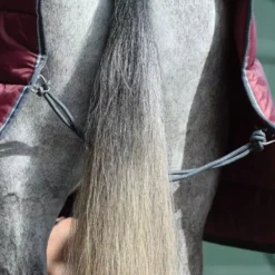 WeatherBeeta ComFiTec 210D Combo Heavyweight Channel Quilt 41 WeatherBeeta ComFiTec 210D Combo Heavyweight Channel Quilt -Exquisite Equestrian Equipment Store d61cebb10e929c9dcb244f659fa155fc 3 jpg