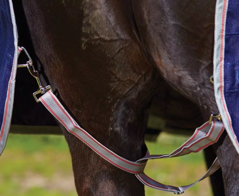 Weatherbeeta Comfitec Essential Detach-a-Neck Medium 12 Weatherbeeta Comfitec Essential Detach-a-Neck Medium - Image 11