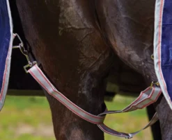 Weatherbeeta Comfitec Essential Detach-a-Neck Medium 36 Weatherbeeta Comfitec Essential Detach-a-Neck Medium -Exquisite Equestrian Equipment Store danm2 13 jpg