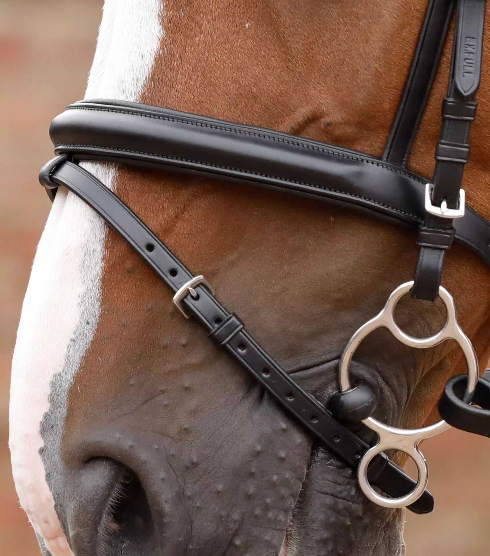 Premier Equine Delizioso Snaffle Bridle 12 Premier Equine Delizioso Snaffle Bridle - Image 10