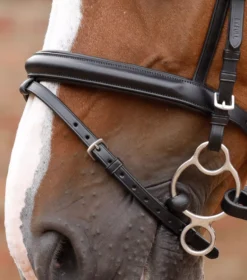 Premier Equine Delizioso Snaffle Bridle 40 Premier Equine Delizioso Snaffle Bridle -Exquisite Equestrian Equipment Store delizioso snaffle bridle black 1alt 3 jpg