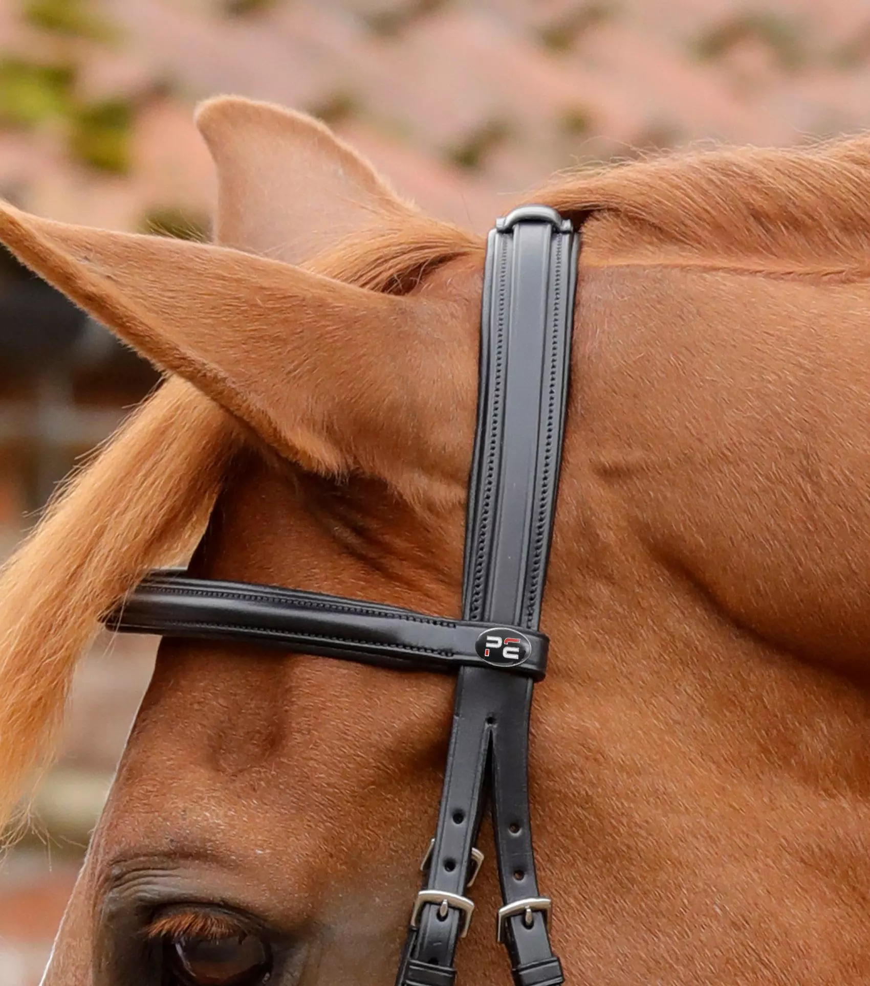 Premier Equine Delizioso Snaffle Bridle 20 Premier Equine Delizioso Snaffle Bridle - Image 18