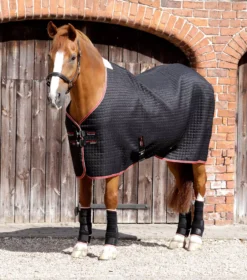 Premier Equine Dry-Tech Horse Cooler Rug 35 Premier Equine Dry-Tech Horse Cooler Rug -Exquisite Equestrian Equipment Store dry tech cooler rug black 1 9 jpg