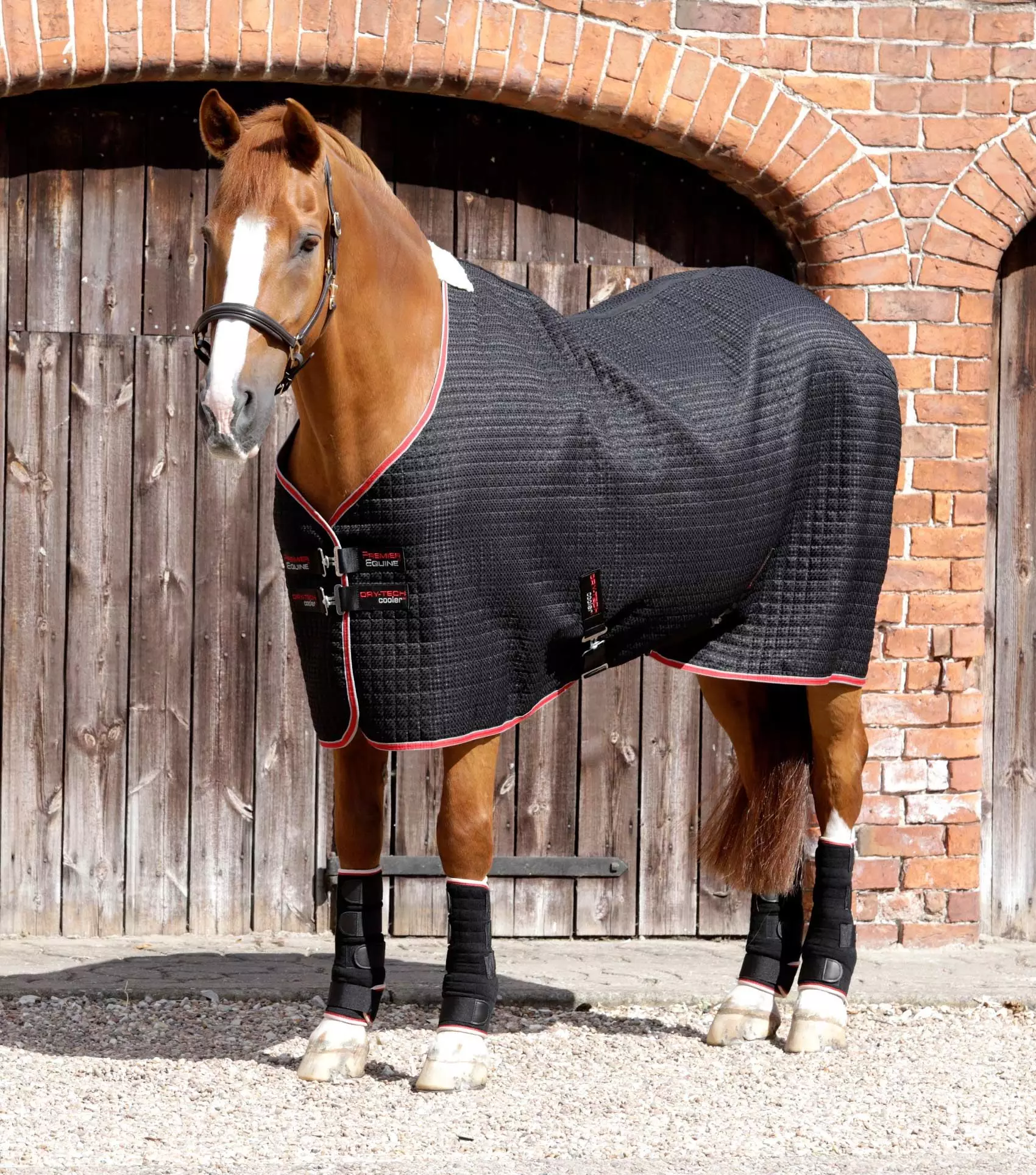 Premier Equine Dry-Tech Horse Cooler Rug 16 Premier Equine Dry-Tech Horse Cooler Rug - Image 14
