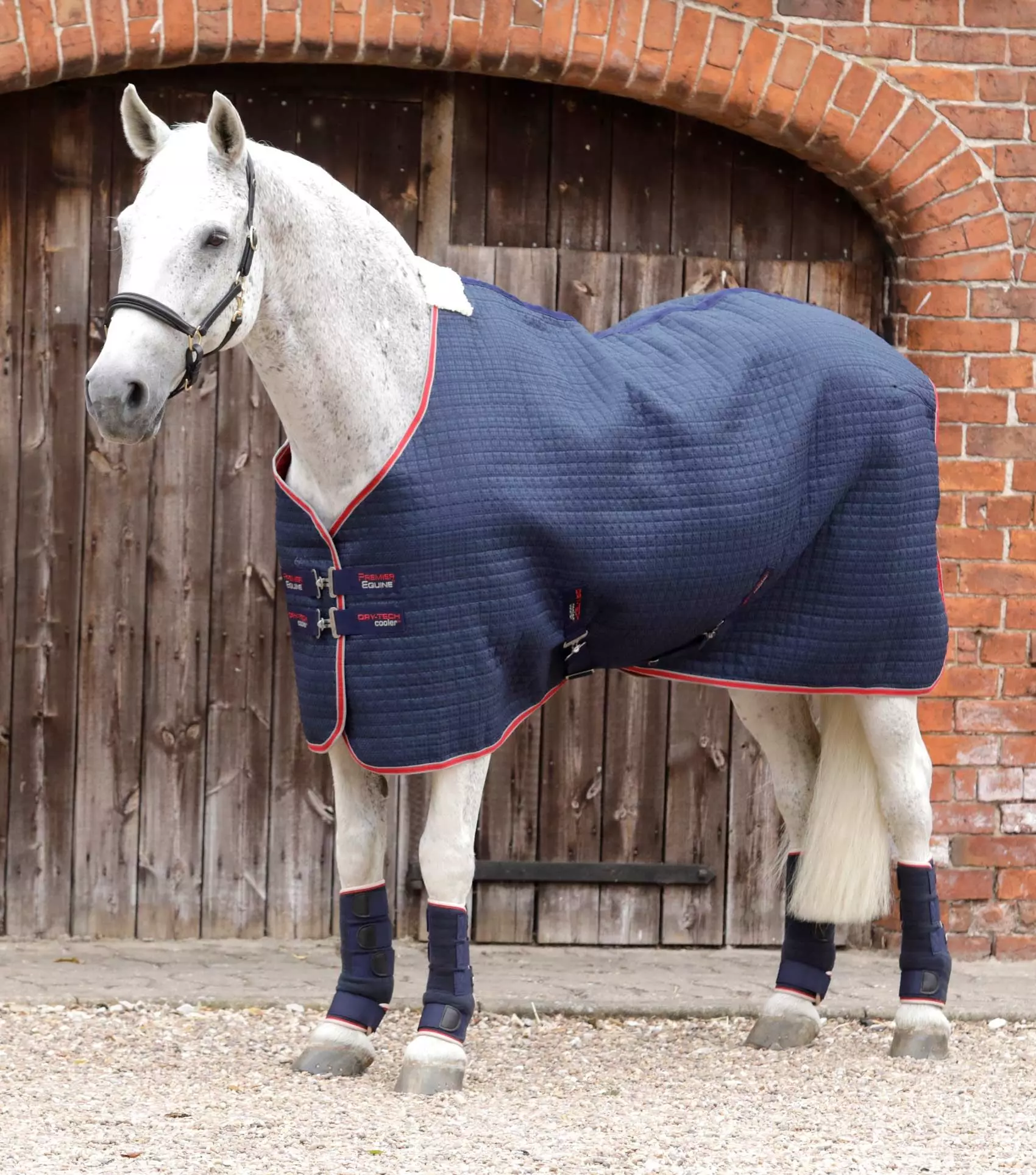 Premier Equine Dry-Tech Horse Cooler Rug 18 Premier Equine Dry-Tech Horse Cooler Rug - Image 16