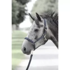 Bucas Dublin Padded Luxury Headcollar 33 Bucas Dublin Padded Luxury Headcollar -Exquisite Equestrian Equipment Store dublin halter navy navy 89 17224 2 4 jpg