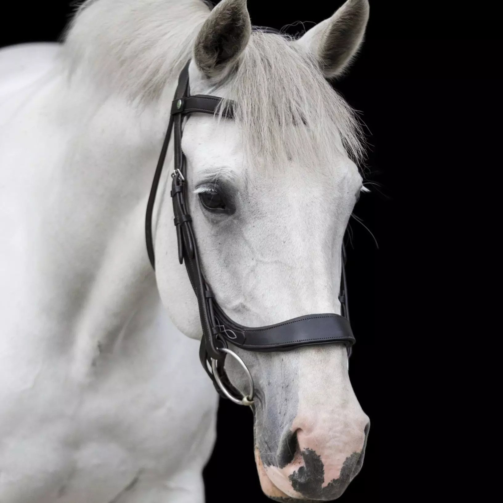 EcoRider Freedom Comfort Bridle 12 EcoRider Freedom Comfort Bridle - Image 10