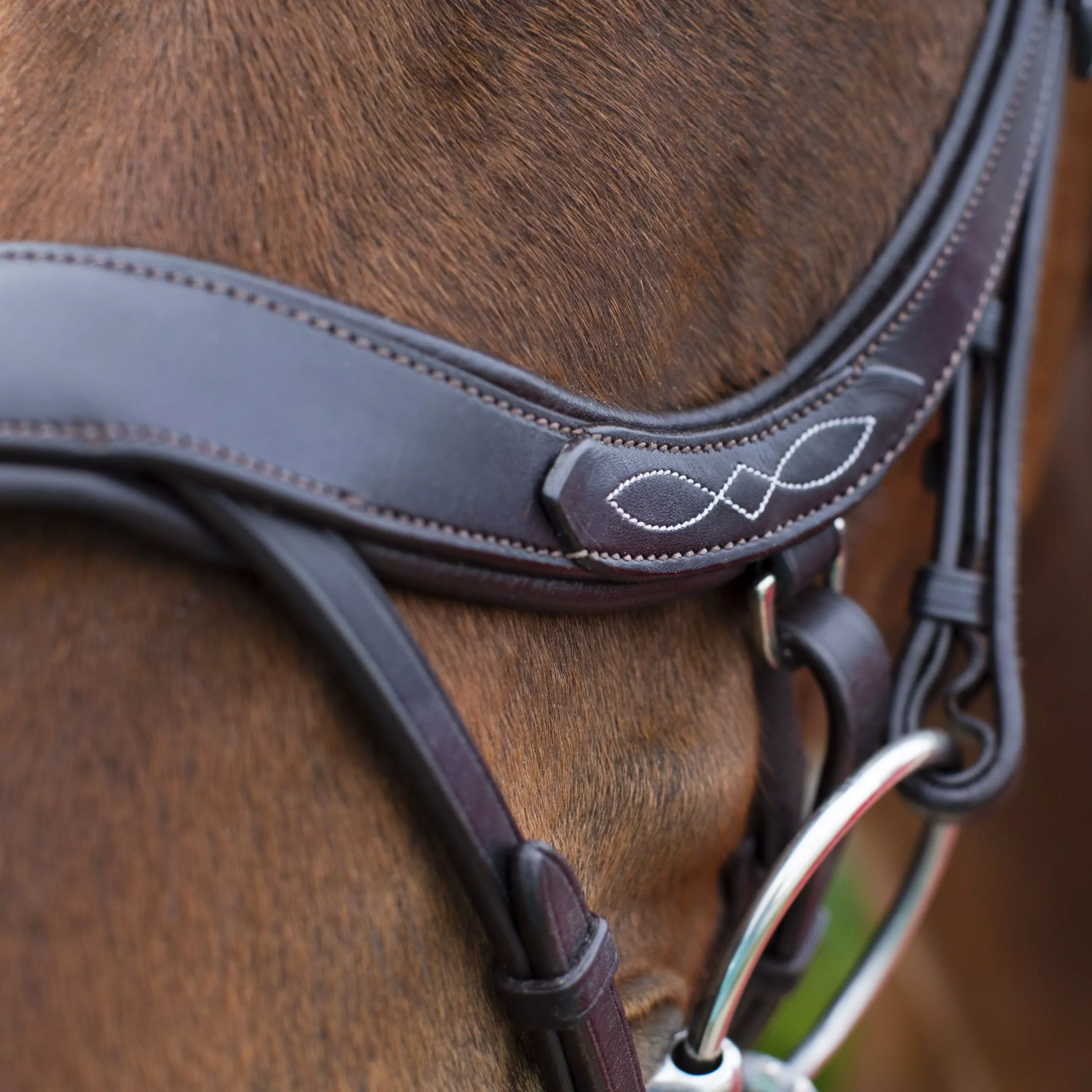 EcoRider Freedom Comfort Bridle 20 EcoRider Freedom Comfort Bridle - Image 18