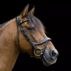 EcoRider Freedom Comfort Bridle 40 EcoRider Freedom Comfort Bridle -Exquisite Equestrian Equipment Store eco006 7 1 jpg