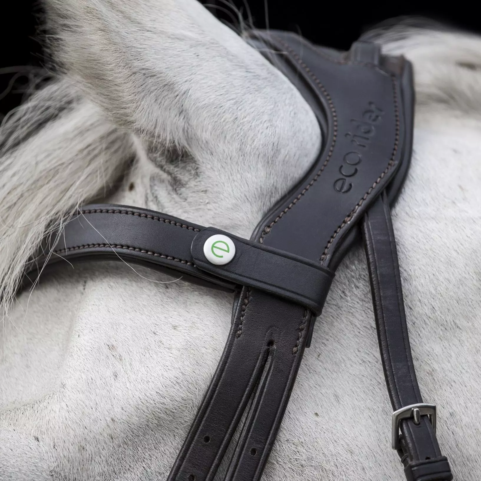 EcoRider Freedom Comfort Bridle 15 EcoRider Freedom Comfort Bridle - Image 13