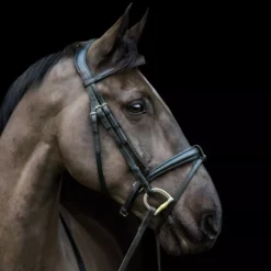 EcoRider Ecosoft Luxe Bridle 41 EcoRider Ecosoft Luxe Bridle -Exquisite Equestrian Equipment Store eco007 2 1 1 jpg