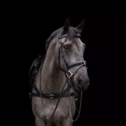 EcoRider Ecosoft Luxe Bridle 33 EcoRider Ecosoft Luxe Bridle -Exquisite Equestrian Equipment Store eco007 3 1 jpg