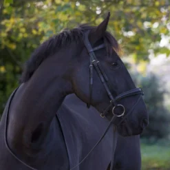 EcoRider Ecosoft Luxe Bridle 32 EcoRider Ecosoft Luxe Bridle -Exquisite Equestrian Equipment Store eco007 5 2 jpg